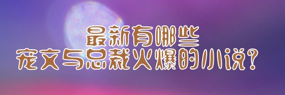 最新有哪些宠文与总裁火爆的小说？